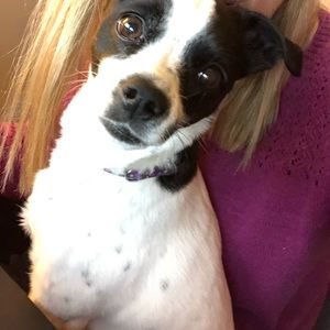 Meet your Posher, Jen